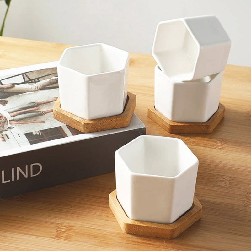 pot-de-fleur-interieur-raffiné