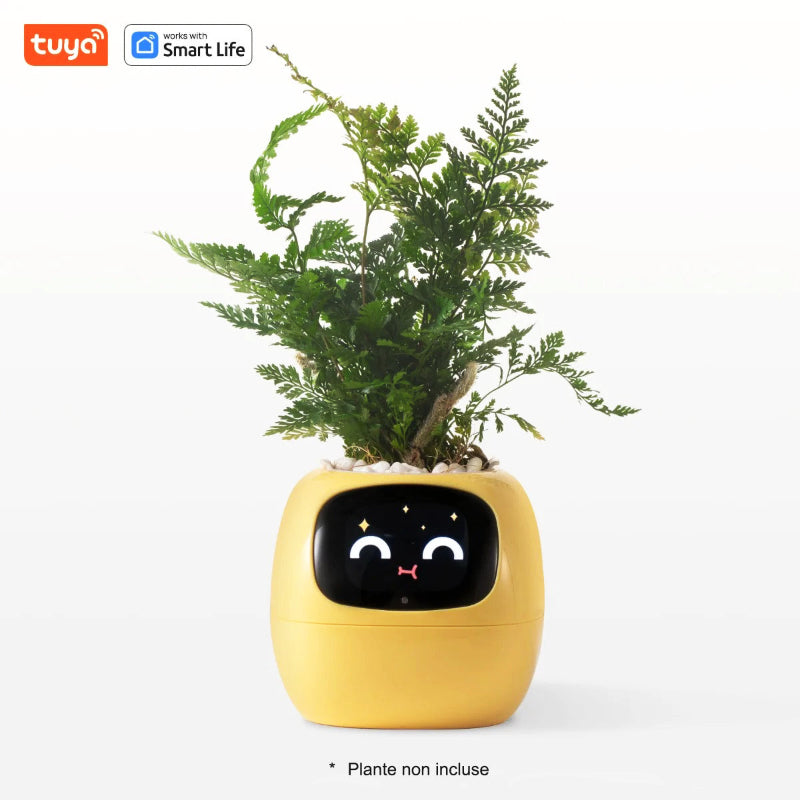 pot-de-fleur-jaune-pâle
