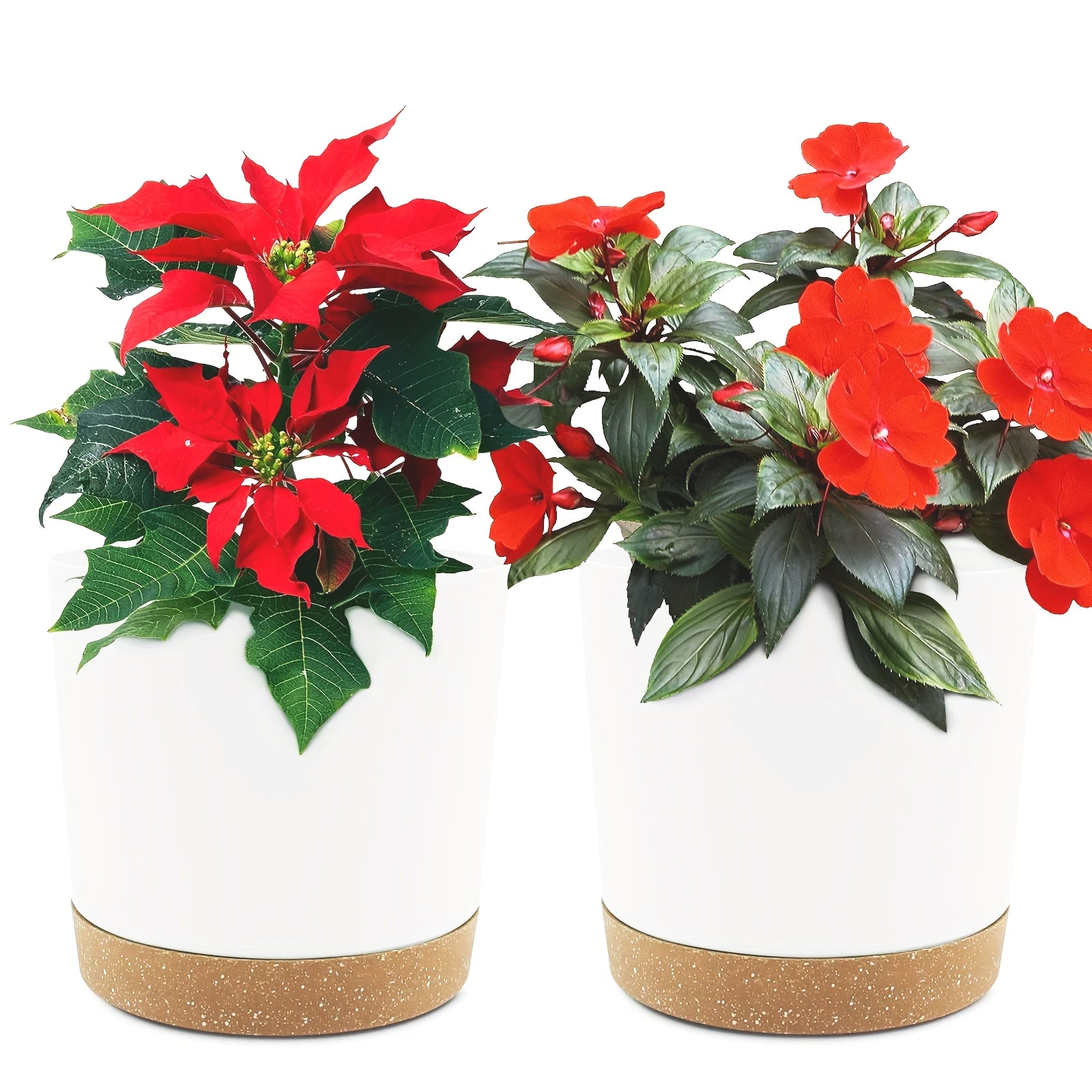 pot-de-fleur-longue-vie