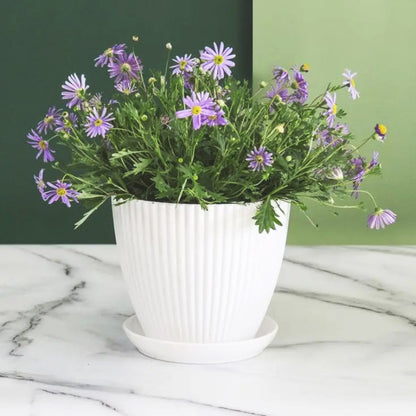 pot-de-fleur-nature