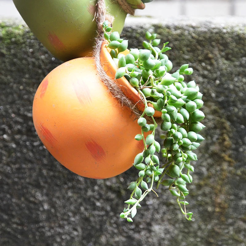 pot-de-fleur-plante-tombante