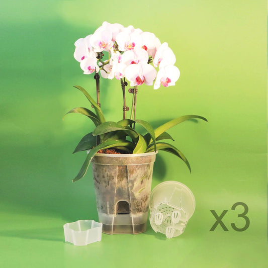pot-de-fleur-pour-balcon-pour-orchidee-x3