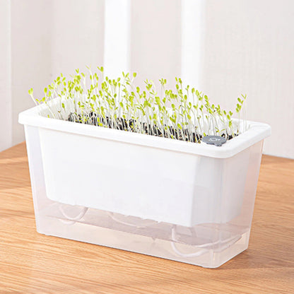 pot-de-fleur-pousses