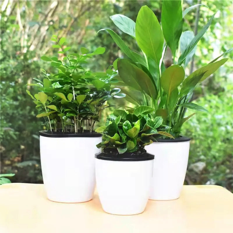 pot-de-fleur-resistant