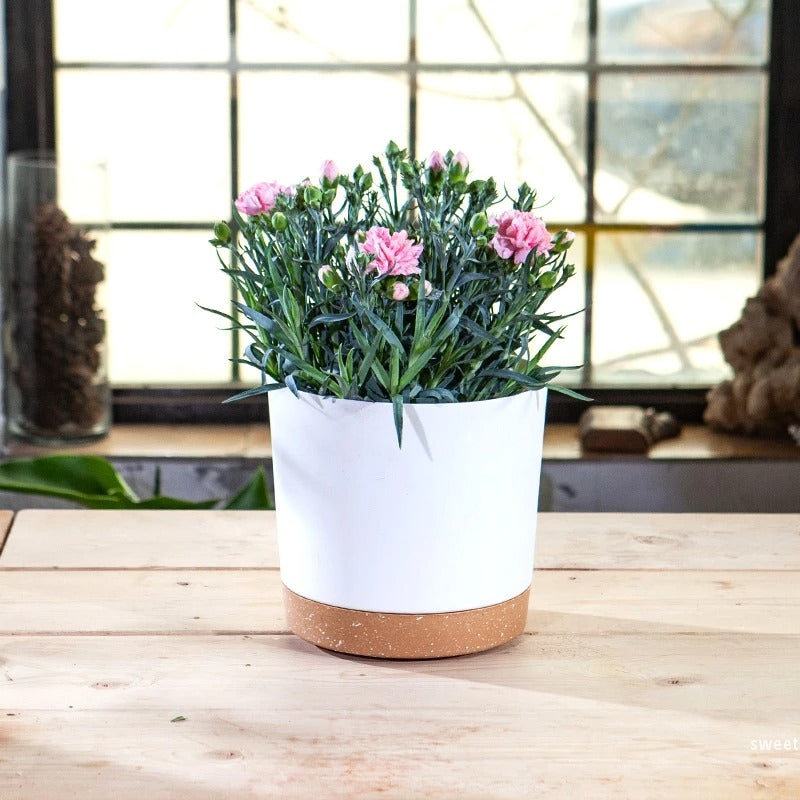 pot-de-fleur-toute-saison