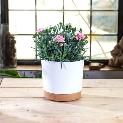 pot-de-fleur-toute-saison