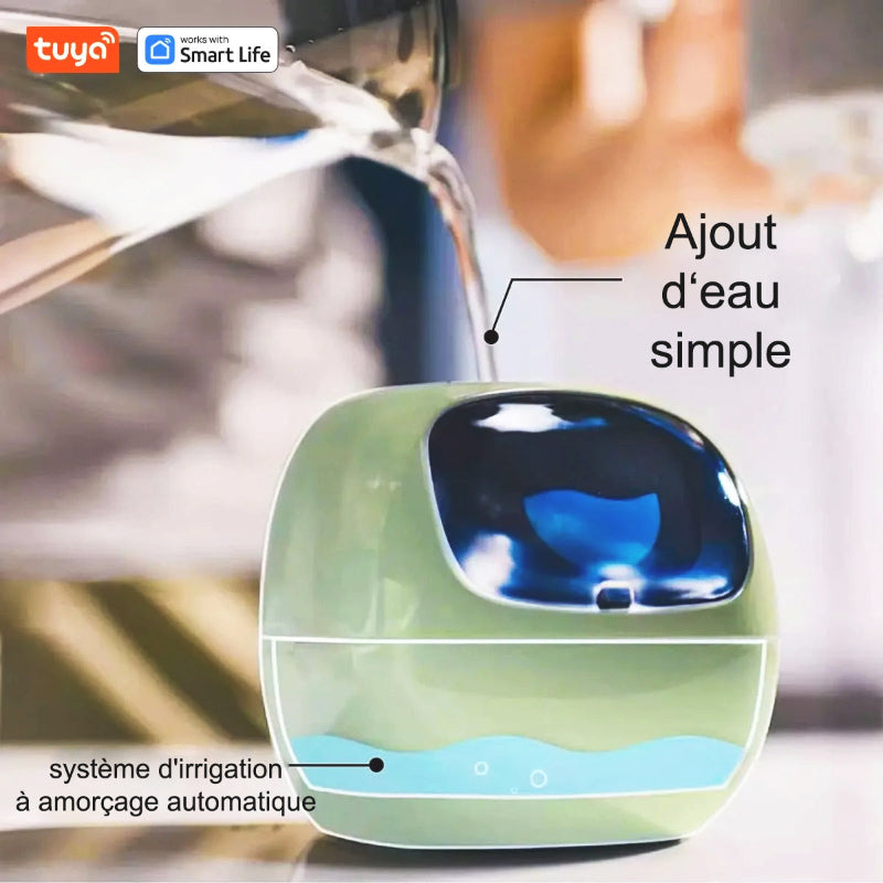 pot-de-fleur-utilisation-facile