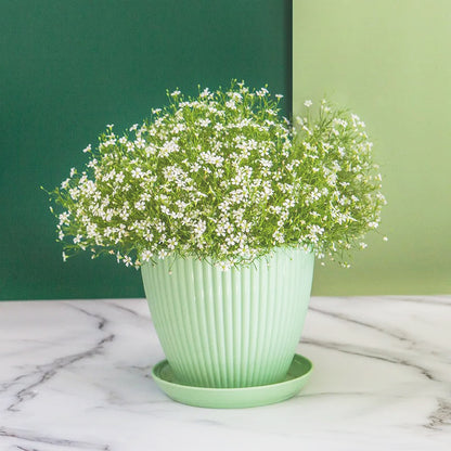 pot-de-fleur-vert