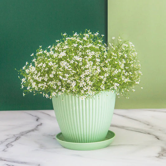 pot-de-fleur-vert