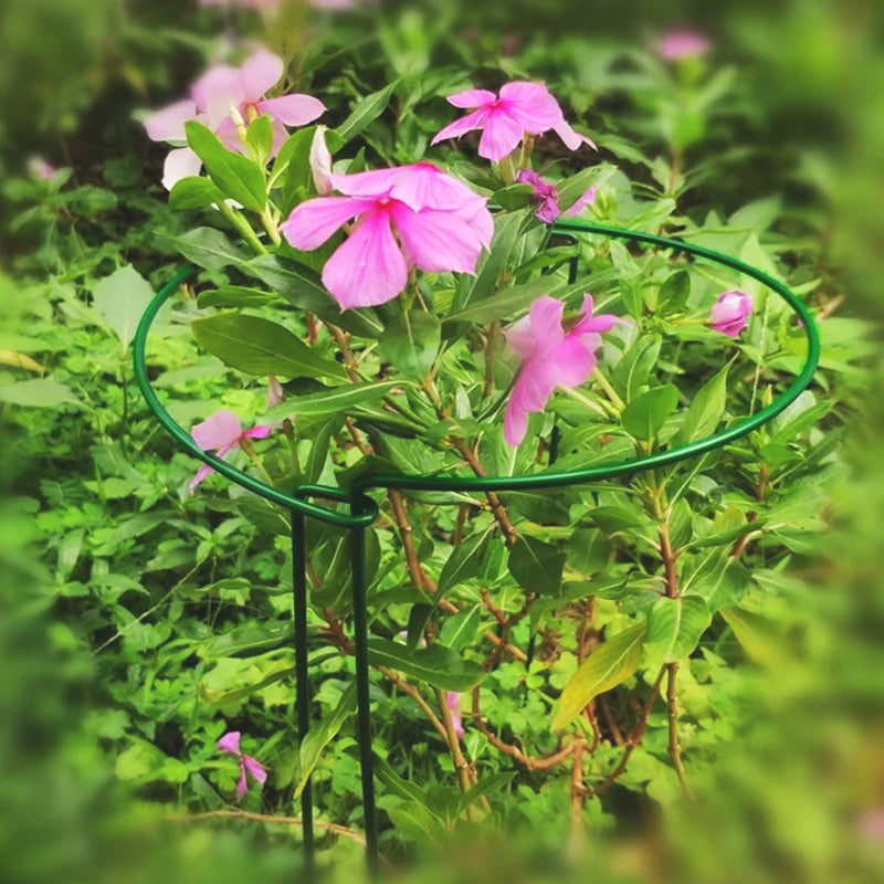 tuteur-plante-anti-rouille