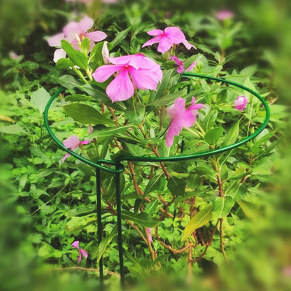 tuteur-plante-anti-rouille