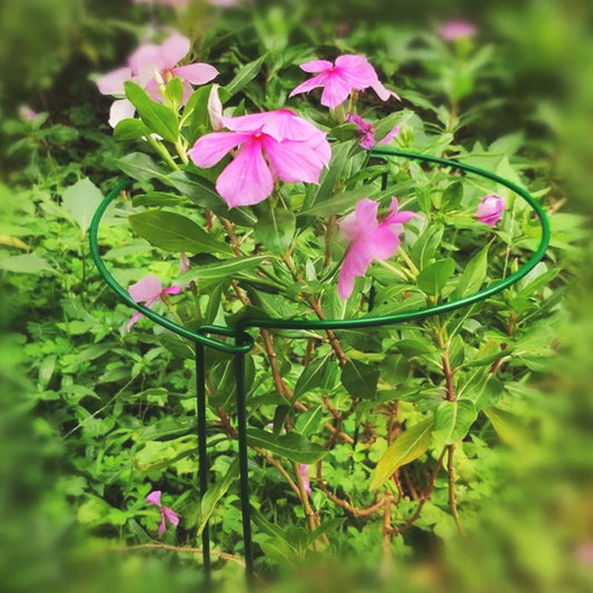 tuteur-plante-anti-rouille