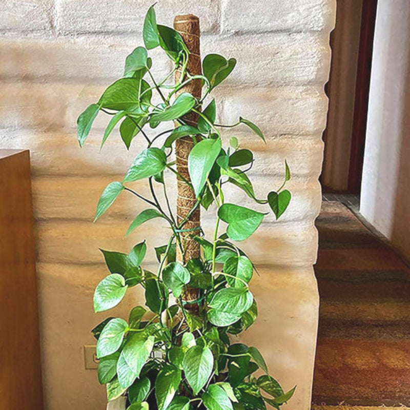 tuteur-plante-artisanal