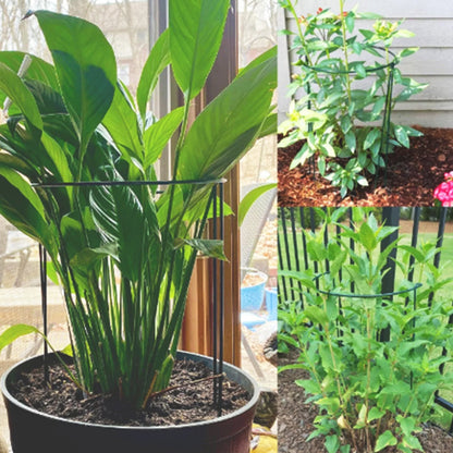 tuteur-plante-cercle