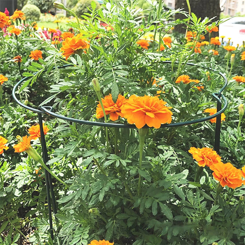 tuteur-plante-combiné