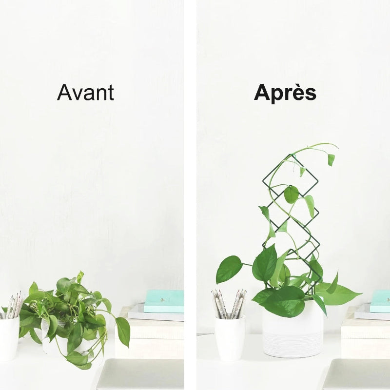 tuteur-plante-discret