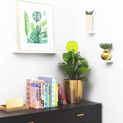 tuteur-plante-discret