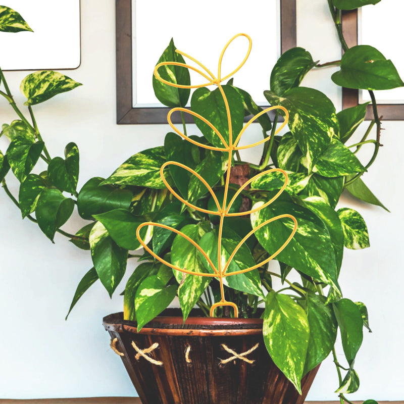 tuteur-plante-dore
