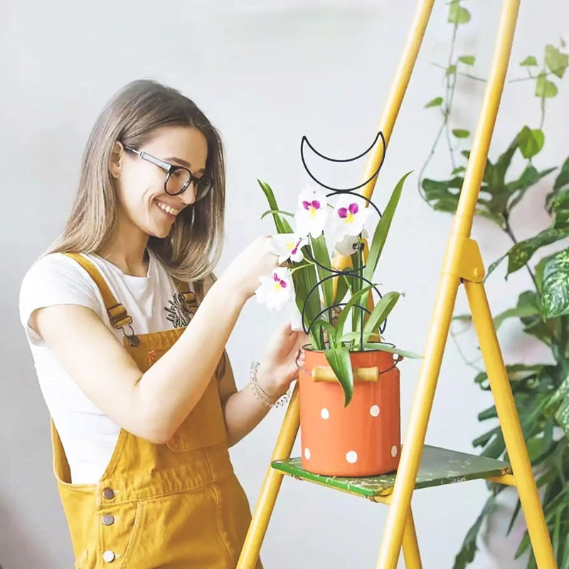 tuteur-plante-élégant