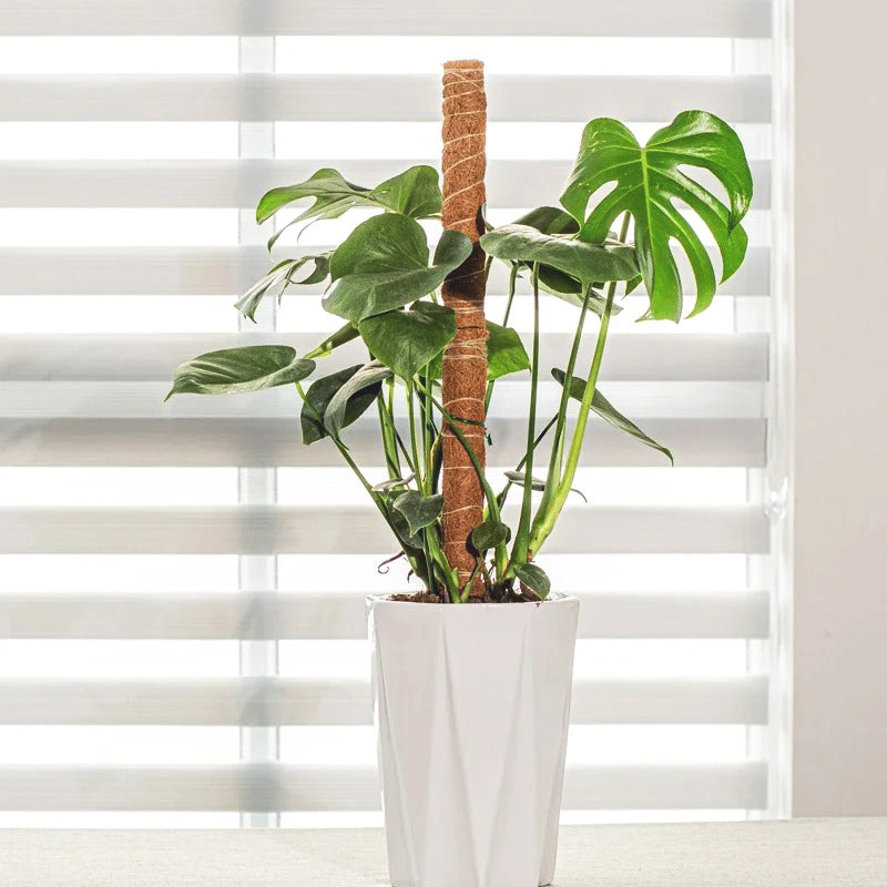 tuteur-plante-empilable
