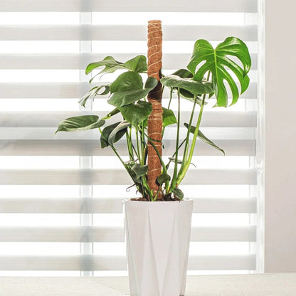 tuteur-plante-empilable