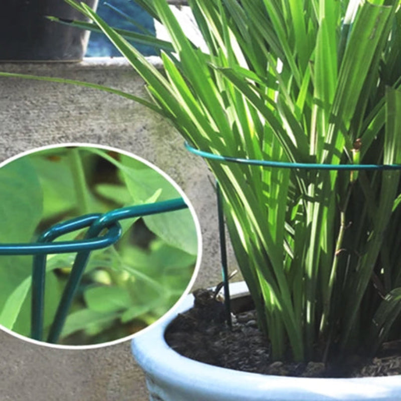 tuteur-plante-fiable