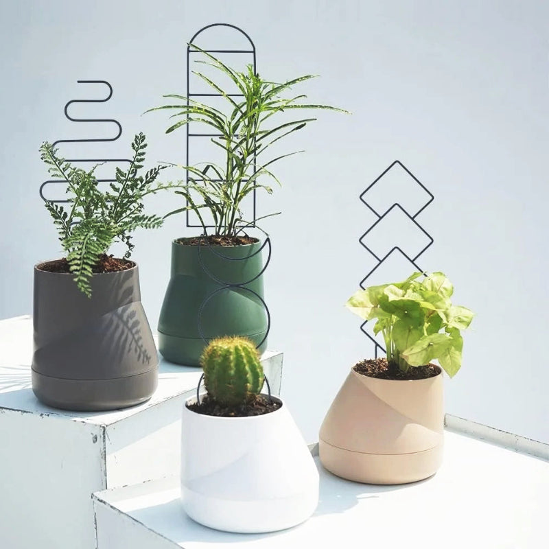 tuteur-plante-harmonieux