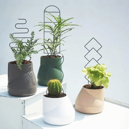tuteur-plante-harmonieux