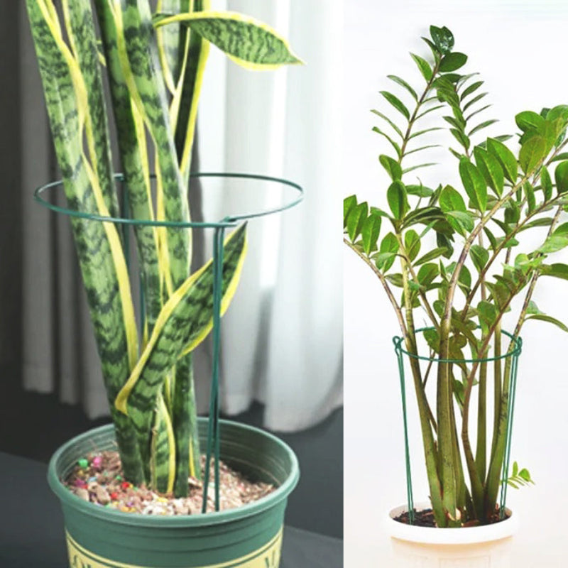 tuteur-plante-intérieur-extérieur
