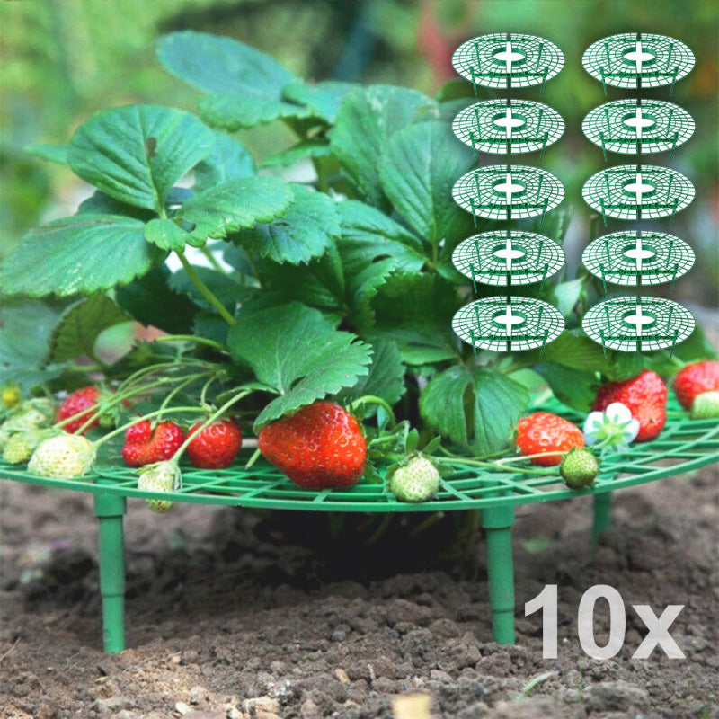 tuteur-plante-jardin-10x