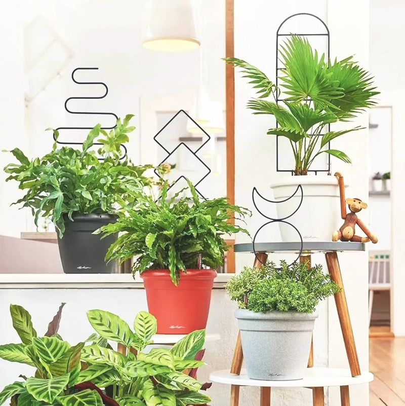 tuteur-plante-noir-mat