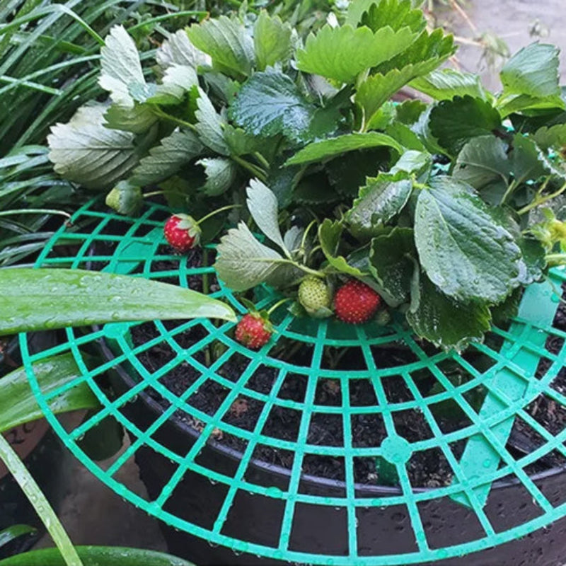 tuteur-plante-pratique