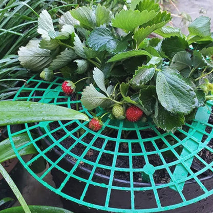 tuteur-plante-pratique