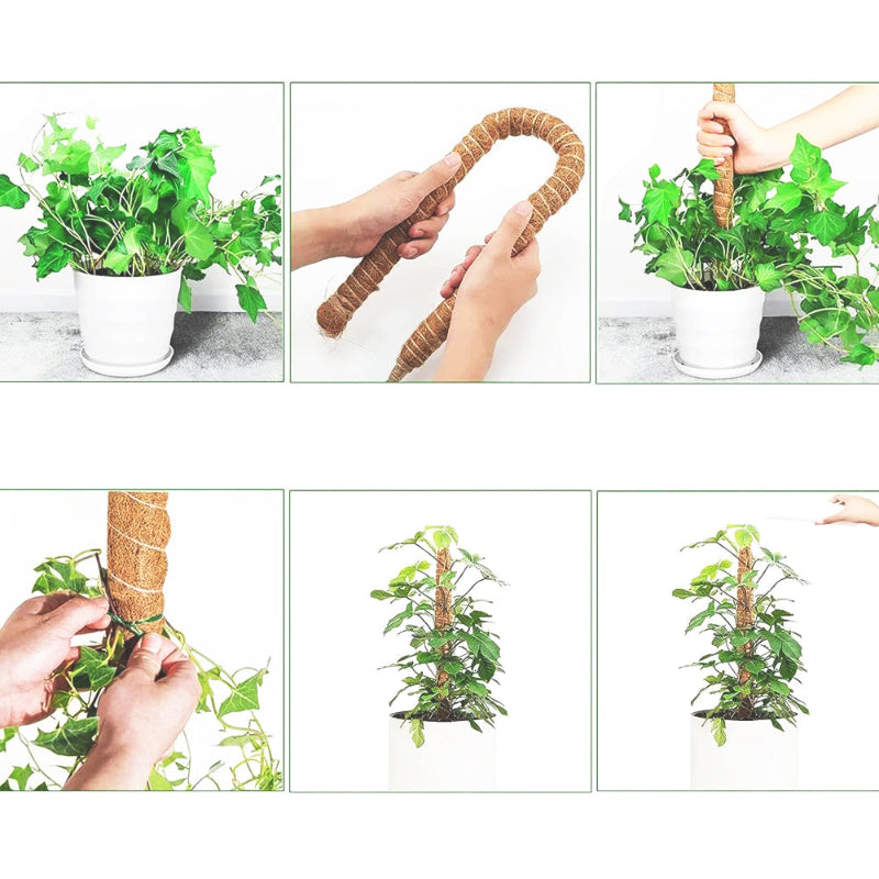 tuteur-plante-simple