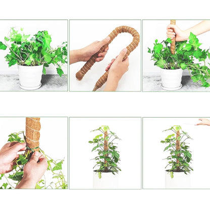 tuteur-plante-simple