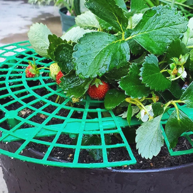 tuteur-plante-vert