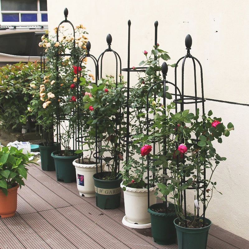 tuteur-pour-plante-balcon