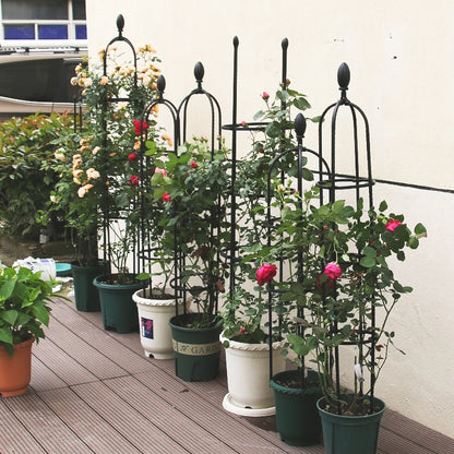 tuteur-pour-plante-balcon