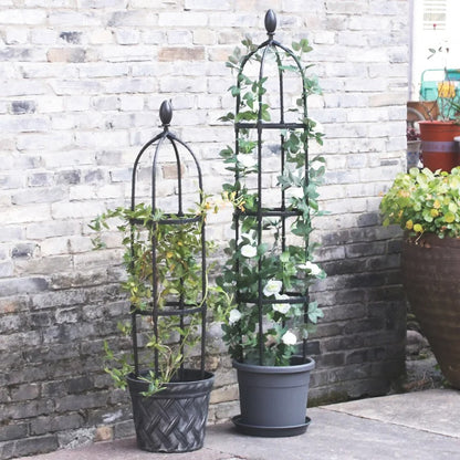 tuteur-pour-plante-élégant